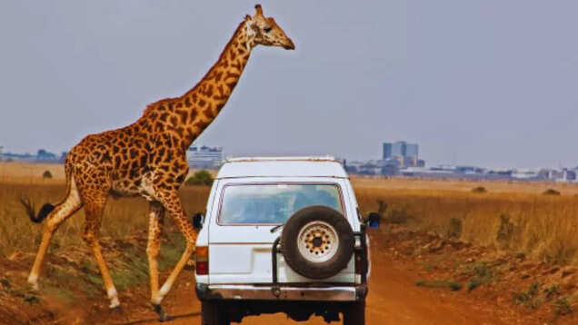 9 incredible ways to see Kenya like a pro