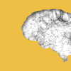 Brain boosting games
