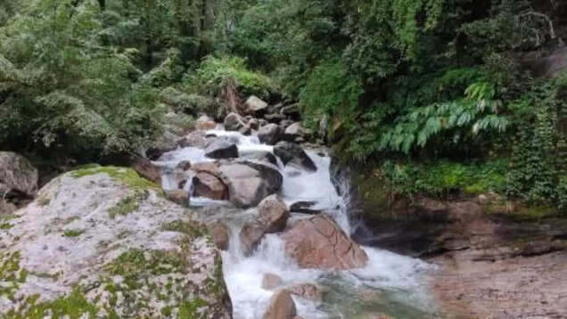 This national park in Himachal is best explored on foot - take a guess