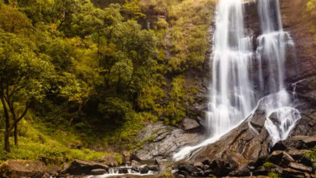 Trekking in Chikmagalur: Things you need to know.