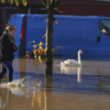 Walk in floods