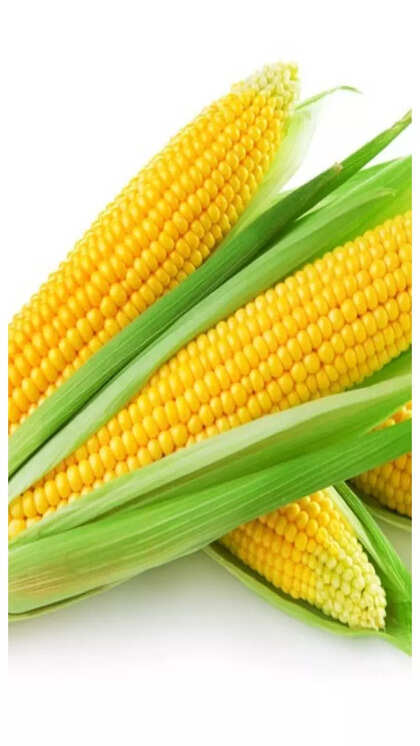 Is Corn Good for Weight Loss: Surprising Benefits Revealed