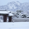 Icy roads and fallen debris cause travel delays