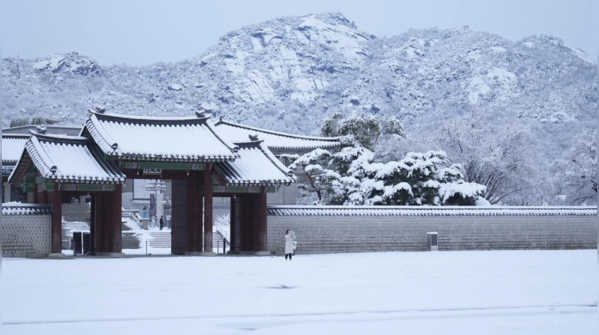 Icy roads and fallen debris cause travel delays