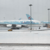 Article image for: South Korea faces widespread <i class="tbold">travel disruptions</i>