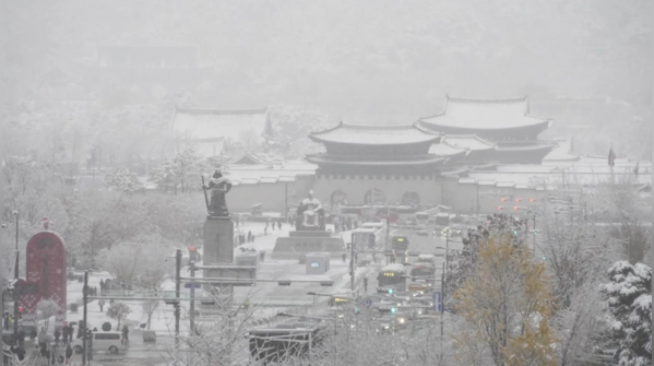 Five-vehicle crash in Hongcheon leaves one dead
