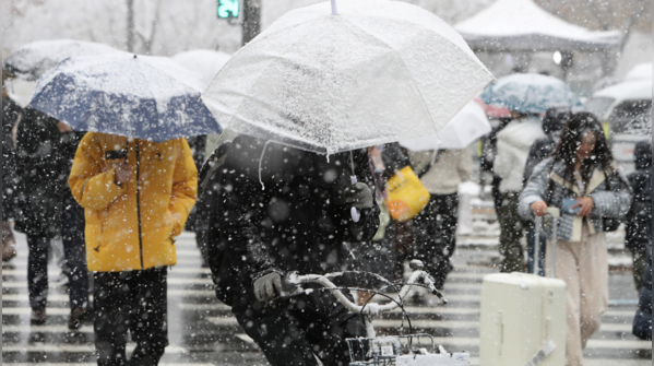 Snowfall triggers traffic and safety alerts