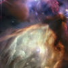 Birth of Sun-like stars in Rho Ophiuchi
