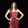 Subway' Dress to The Red Diamond Abaya: Most expensive dresses in the  history of fashion | Times of India