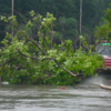 Cyclone Fengal Live: Tree uprooted on Cathedral road opposite to the US Consulate