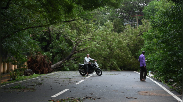 Uprooted trees block roads in Puducherry