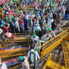 What are farmers' demand?