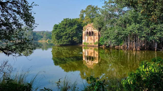 Aamaghati at Ranthambore: From wilderness to wellness