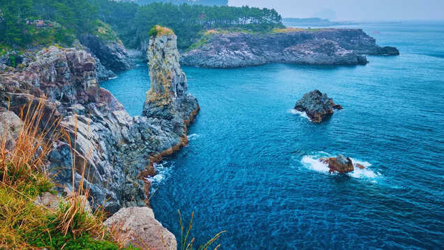 South Korea’s two shocking incidents: Martial law imposed and 38 Vietnamese tourists go missing on Jeju Island South Korea’s two shocking incidents: Martial law imposed and 38 Vietnamese tourists go missing on Jeju Island