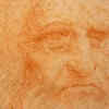 The allegations and speculations of a self-portrait 