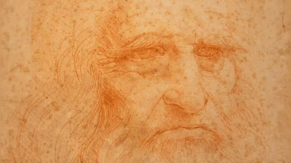 The allegations and speculations of a self-portrait