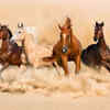 The 7 horse painting