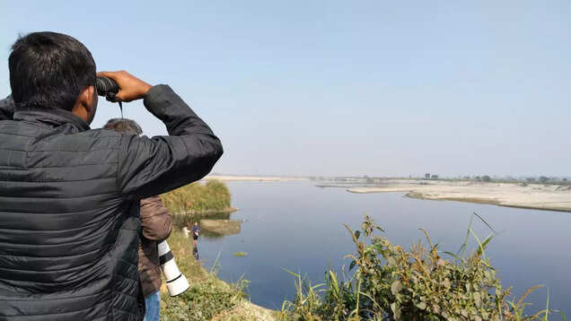 Delhi Winter Bird Count: A birder&rsquo;s perspective on nature in the urban jungle