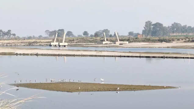Delhi Winter Bird Count: A birder&rsquo;s perspective on nature in the urban jungle