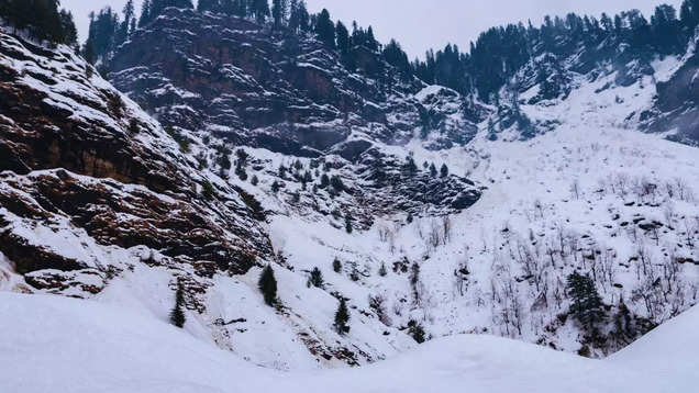 Kashmir turns into a winter wonderland with fresh spell of snowfall