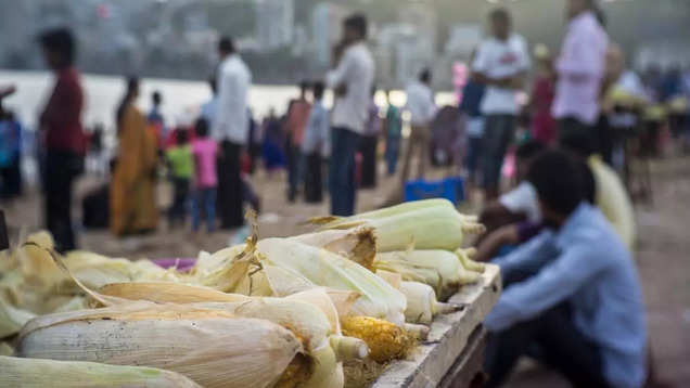 Mumbai wakes up to the coldest December in 8 years with temperatures dipping to 13.7°C