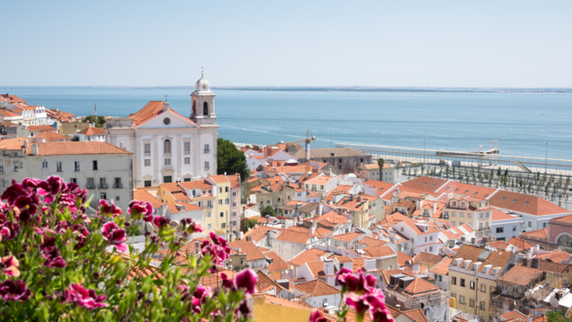5 budget-friendly international destinations for New Year celebrations