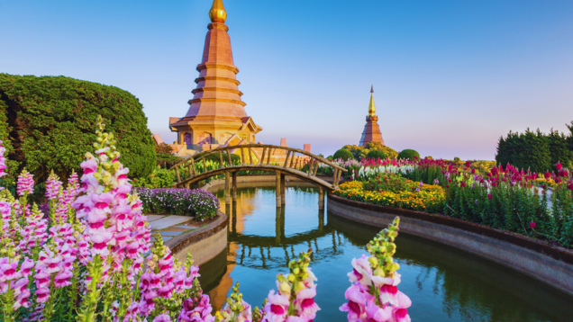 Get ready: Thailand's e-visa system is coming in 2025; all details here