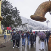 Snowfall promises a rich apple yield