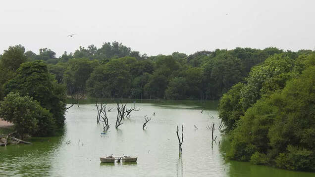 5 places you can cover in a day in Delhi