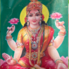 Article image for: Baby girl names inspired by unique names of <i class="tbold">maa lakshmi</i>