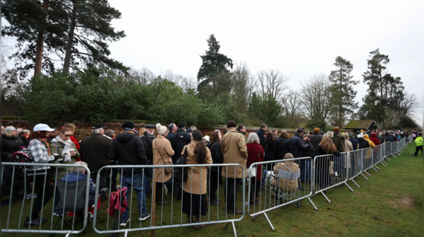Prince Andrew's absence