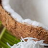 Article image for: <i class="tbold">coconut milk</i>