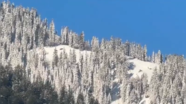 Dharamshala freezes over