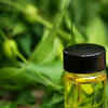 Neem Oil Benefits: 8 magical benefits of Neem oil for the plants and garden  | Times of India