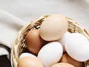 10 healthy ways to consume eggs in winters