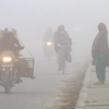 Article image for: When is a <i class="tbold">cold wave</i> declared?