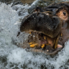 Environmental responsibility highlighted