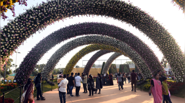 The unity blossom