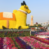 Gardening enthusiasts' paradise