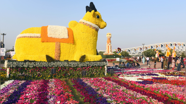 Gardening enthusiasts' paradise