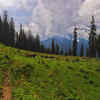Tirthan Valley