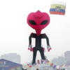 Festival to run till Jan 14