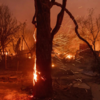 Rays of kindness amid the devastation