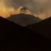 11 dead in LA wildfires, search for missing continues