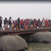 Maha Kumbh 2025 Live: Several groups of devotees are moving towards the camps of their guru seers