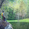 Urban conservation initiatives