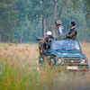 Article image for: <i class="tbold">kanha</i> National Park, Madhya Pradesh