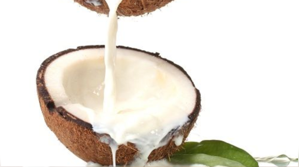 Coconut milk conditioner