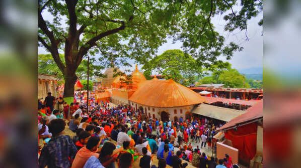 Vibrant festivals