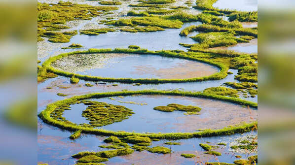 World’s only floating national park